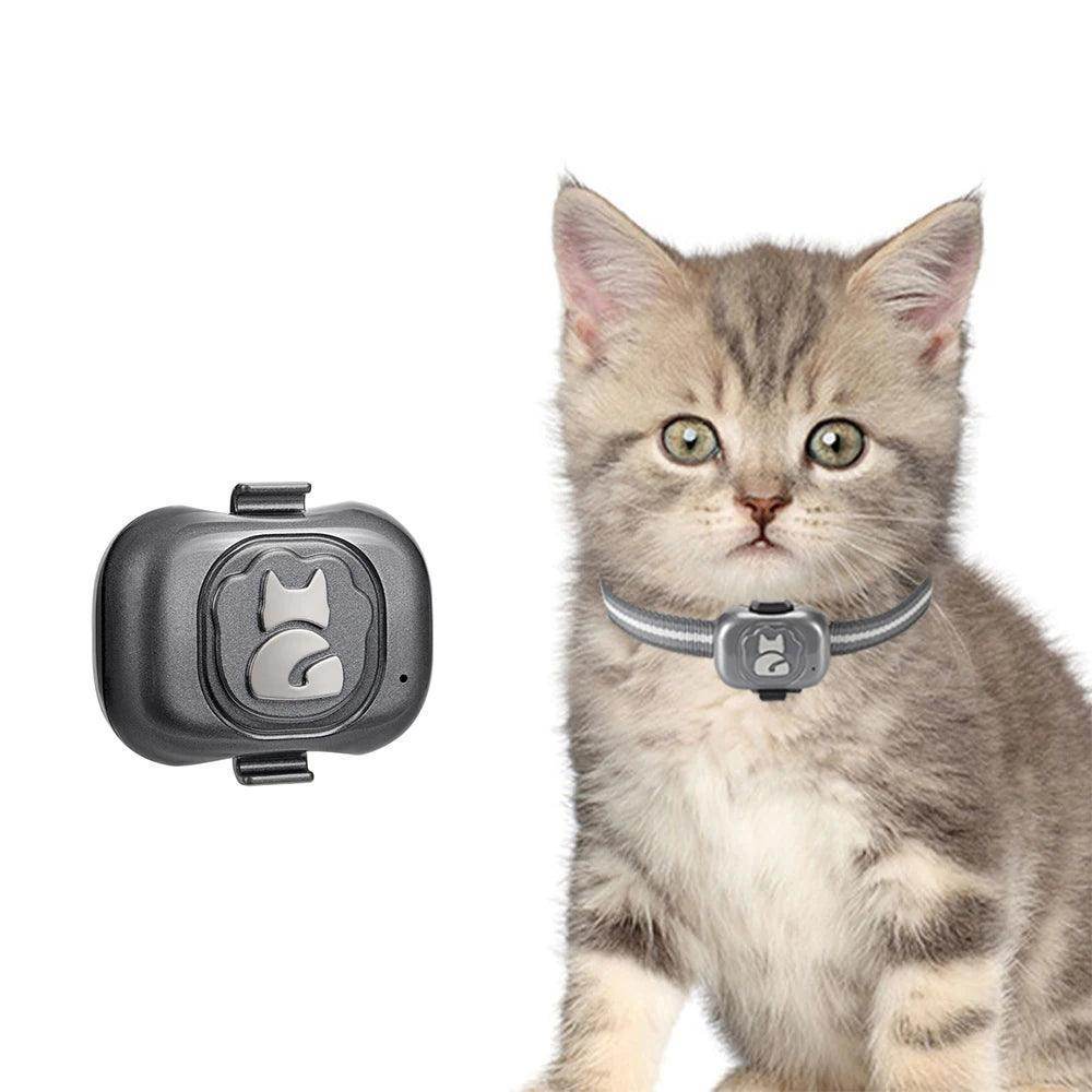 Gps microchip for cats best sale