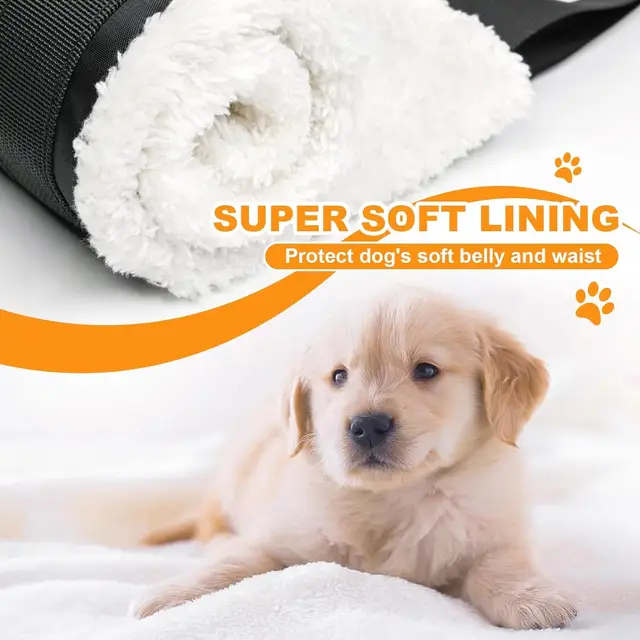 Canine Lift Support & Rehabilitation Sling