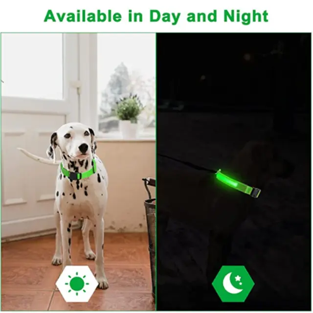 L.E.D light up collar