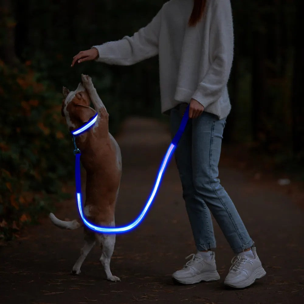 Glowing USB Rechargeable L.E.D. Dog Visibility Safety Leash