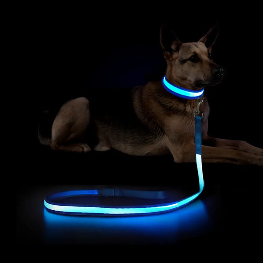 Glowing USB Rechargeable L.E.D. Dog Visibility Safety Leash