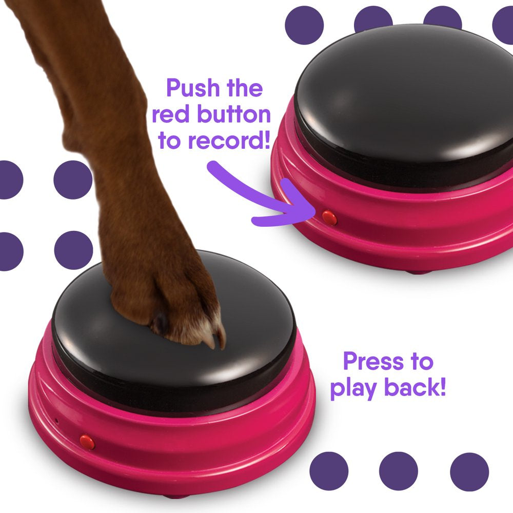 Talking Pet Starter Set - 4 Recordable Buttons for Dog Communication, Talking Dog Buttons