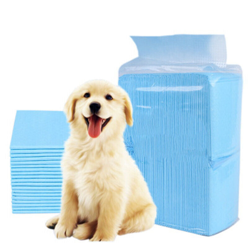 100PCS XL Dog Pads PEE Puppy Training Underpads House Ultra Heavy US