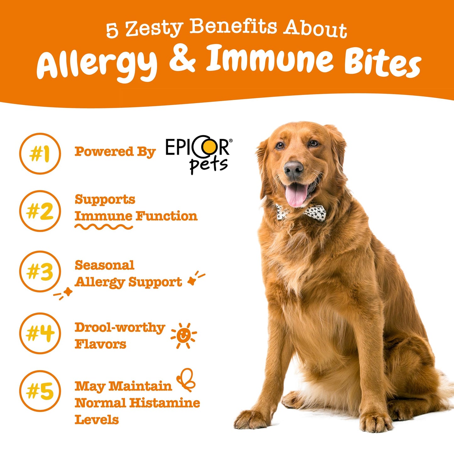 Zesty Paws Dog Allergy Relief - Anti Itch Supplement - Omega 3 Probiotics for Dogs - Digestive Health - Soft Chews for Skin & Seasonal Allergies - with Epicor Pets - Lamb - 90 Count