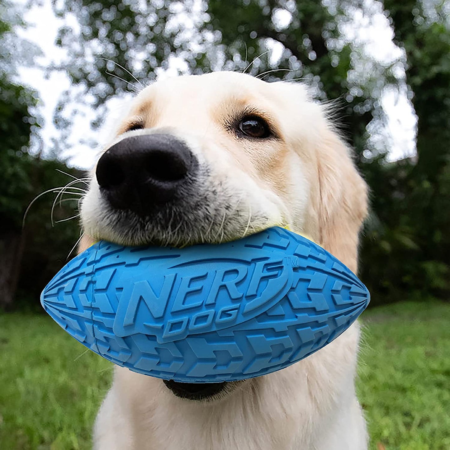 Tire Football Dog Toy with Interactive Squeaker, Lightweight, Durable and Water Resistant, 6 Inch Diameter for Medium/Large Breeds, Single Unit, Blue (1571)