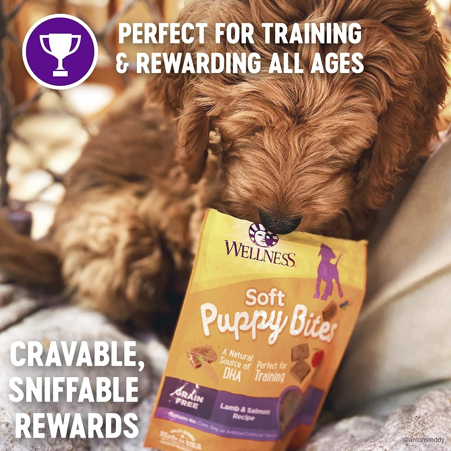 Professional title: " Soft Puppy Bites Grain-Free Dog Treats with Real Lamb & Salmon, DHA, and No Artificial Flavors - 3 oz Bag"