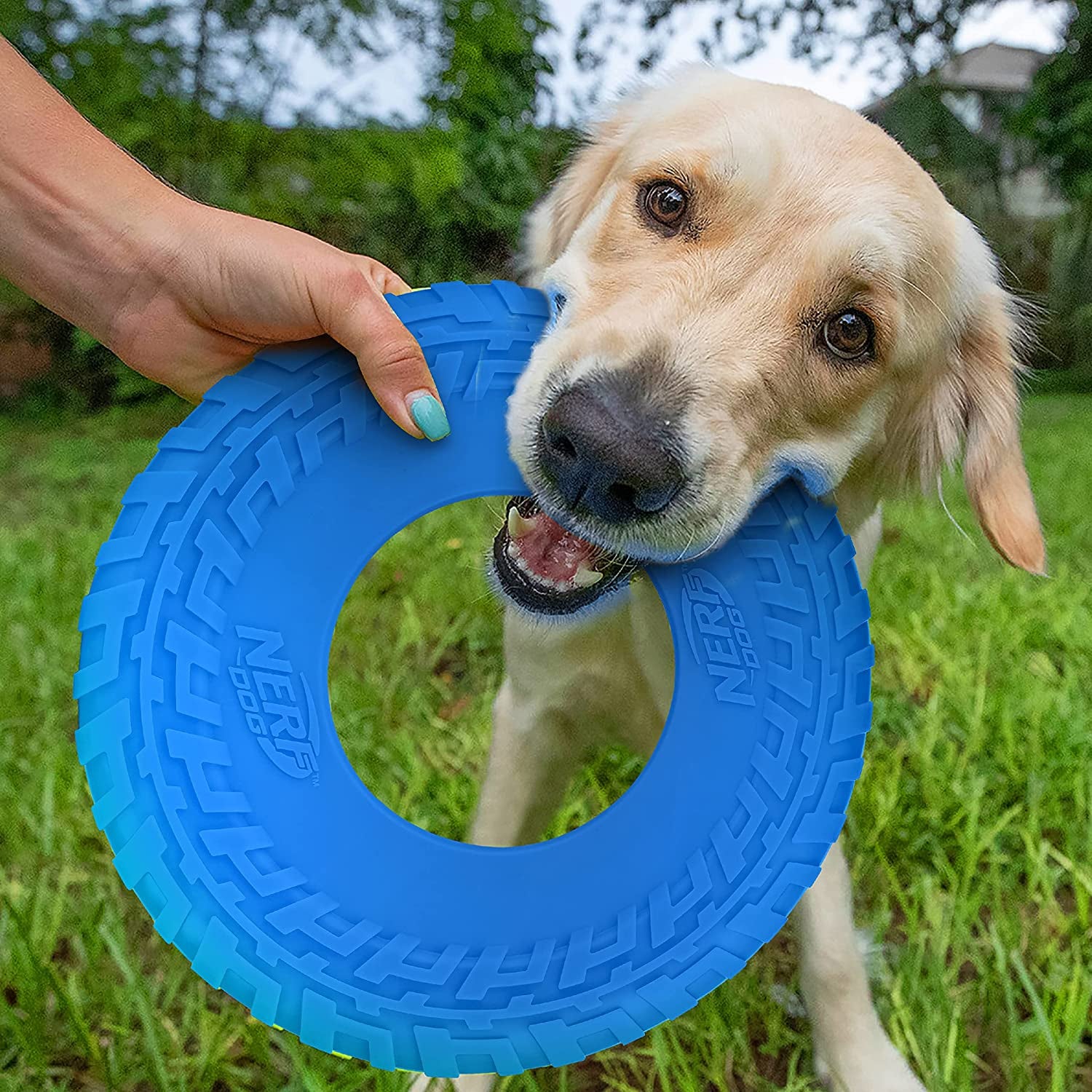 Rubber Tire Flyer Dog Toy, Flying Disc, Lightweight, Durable, Floats in Water, Great for Beach and Pool, 10 Inch Diameter, for Medium/Large Breeds, Single Unit, Blue, Original