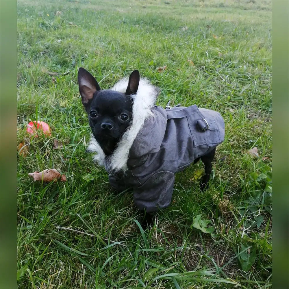 Pet Fuzzy Thick Jacket Coat with Hood