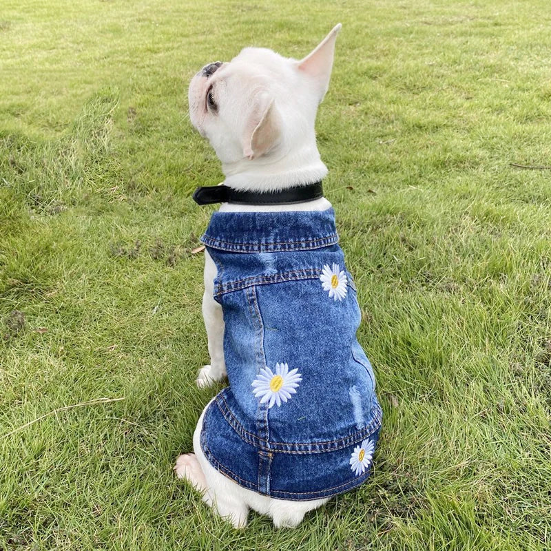 Cute denim dog jacket