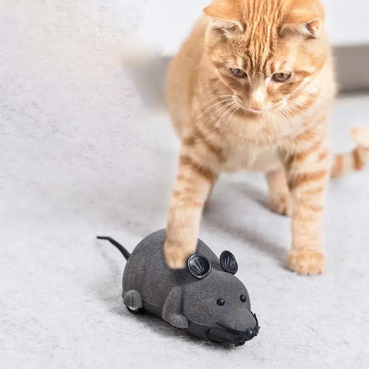 Remote Control mouse Toy