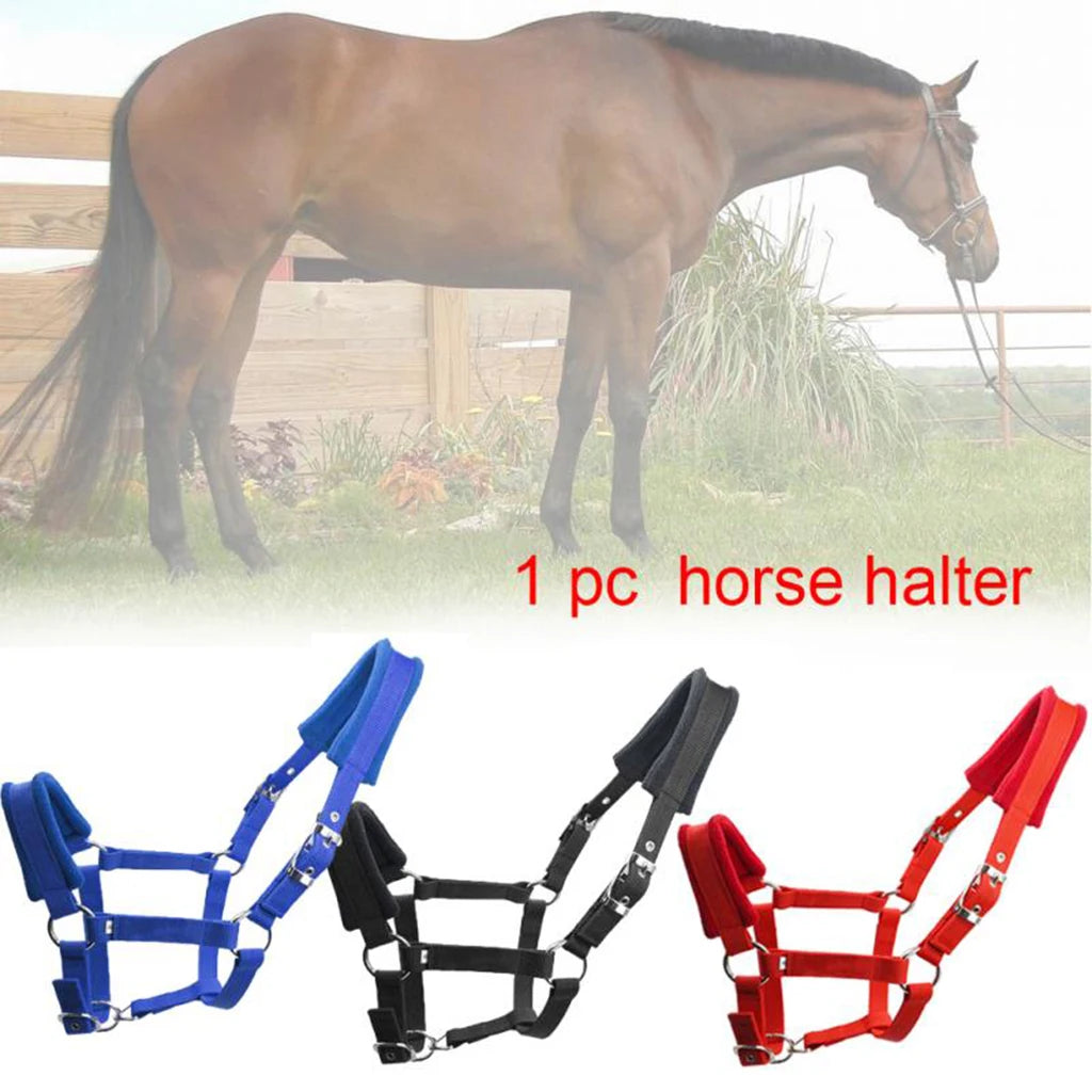 Soft Padded Pony Horse Halter Bridle