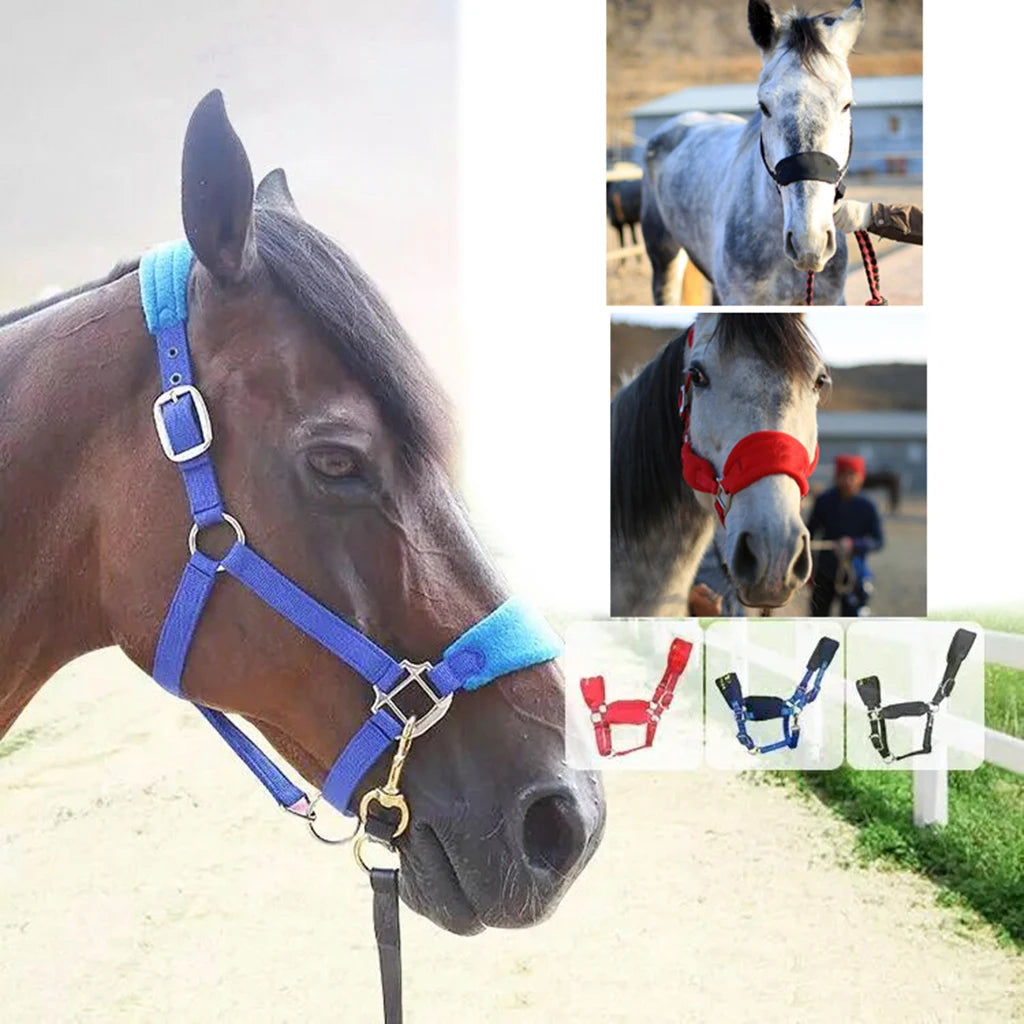 Soft Padded Pony Horse Halter Bridle