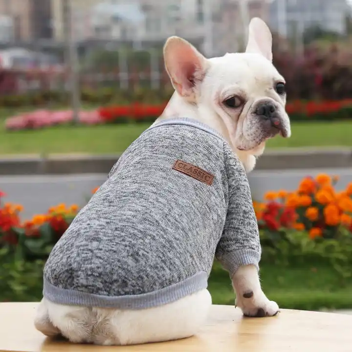 Winter Knitted Dog Pullover