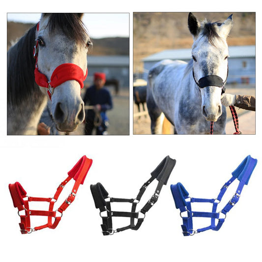 Soft Padded Pony Horse Halter Bridle