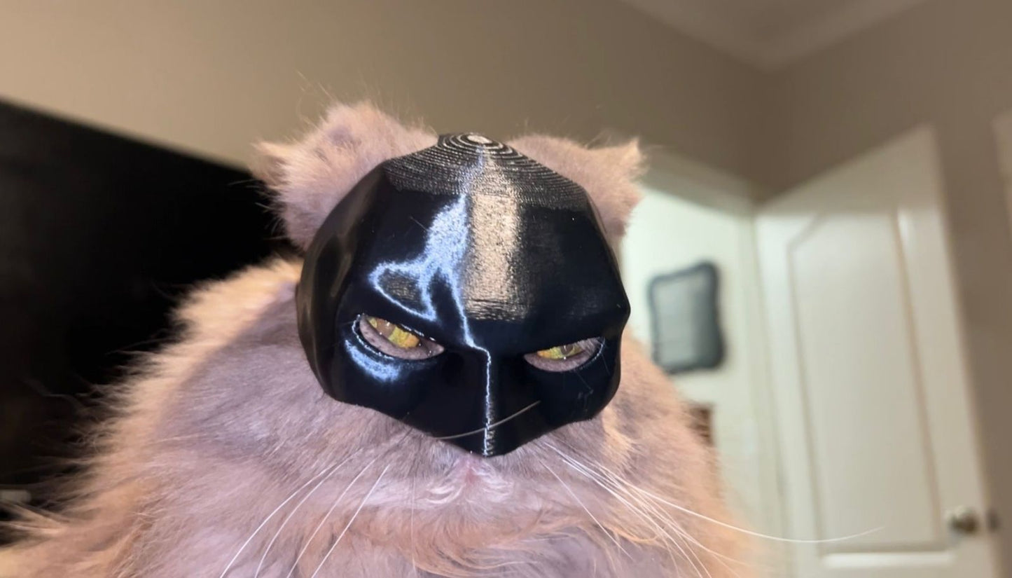 Superhero Cat Mask for TikTok Trends