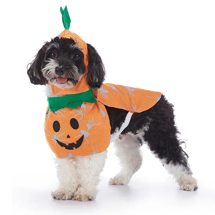 Halloween Costumes for Small Dogs