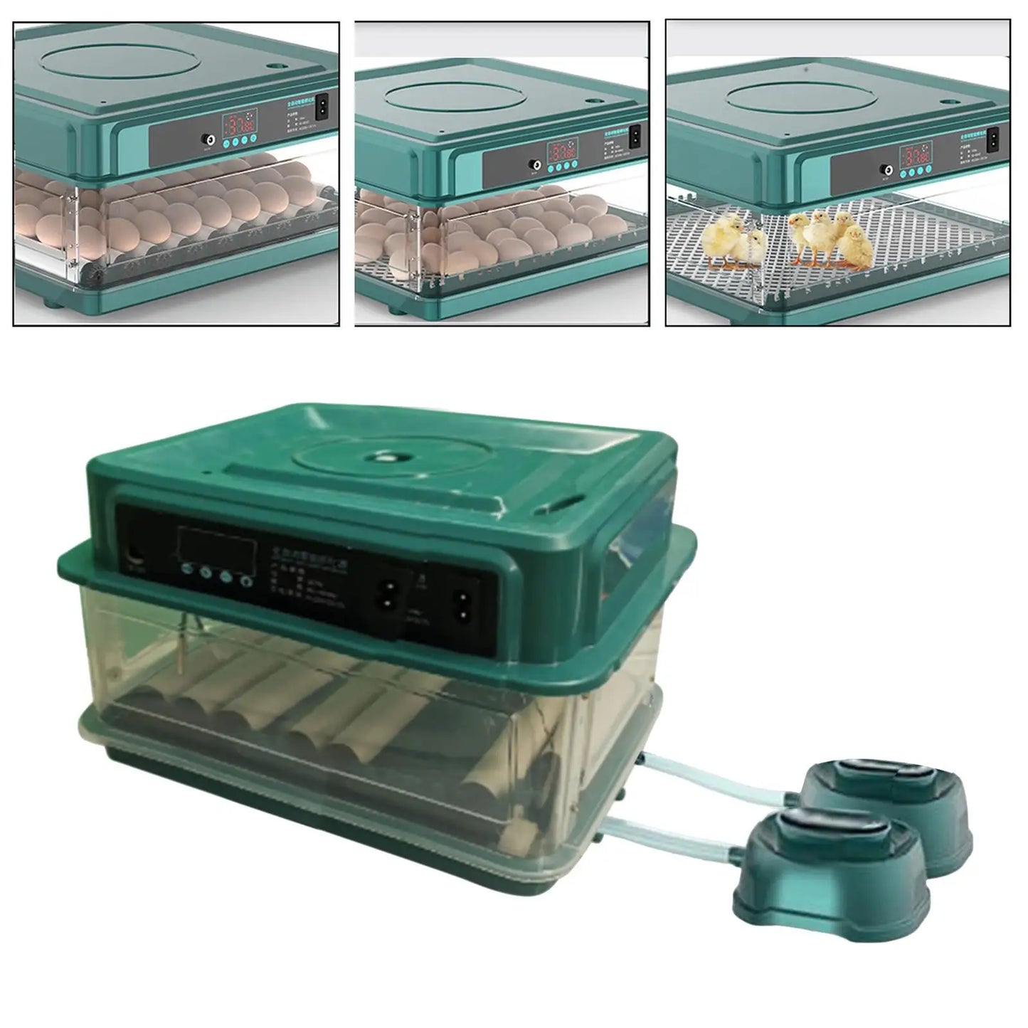 Automatic Egg Incubator Temperature Control