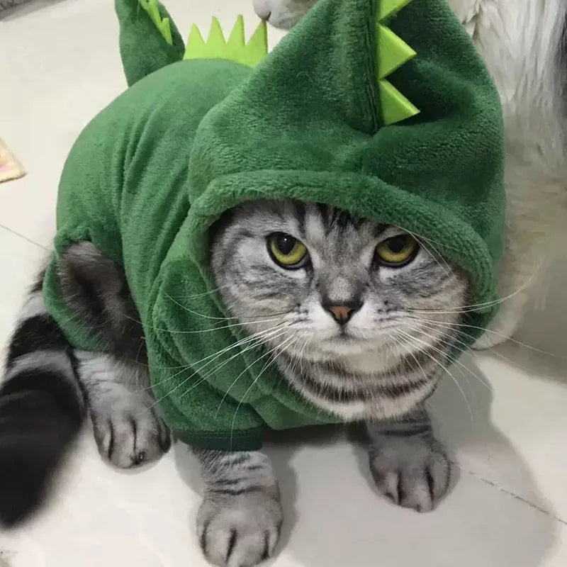 Cute and funny Small animal costume