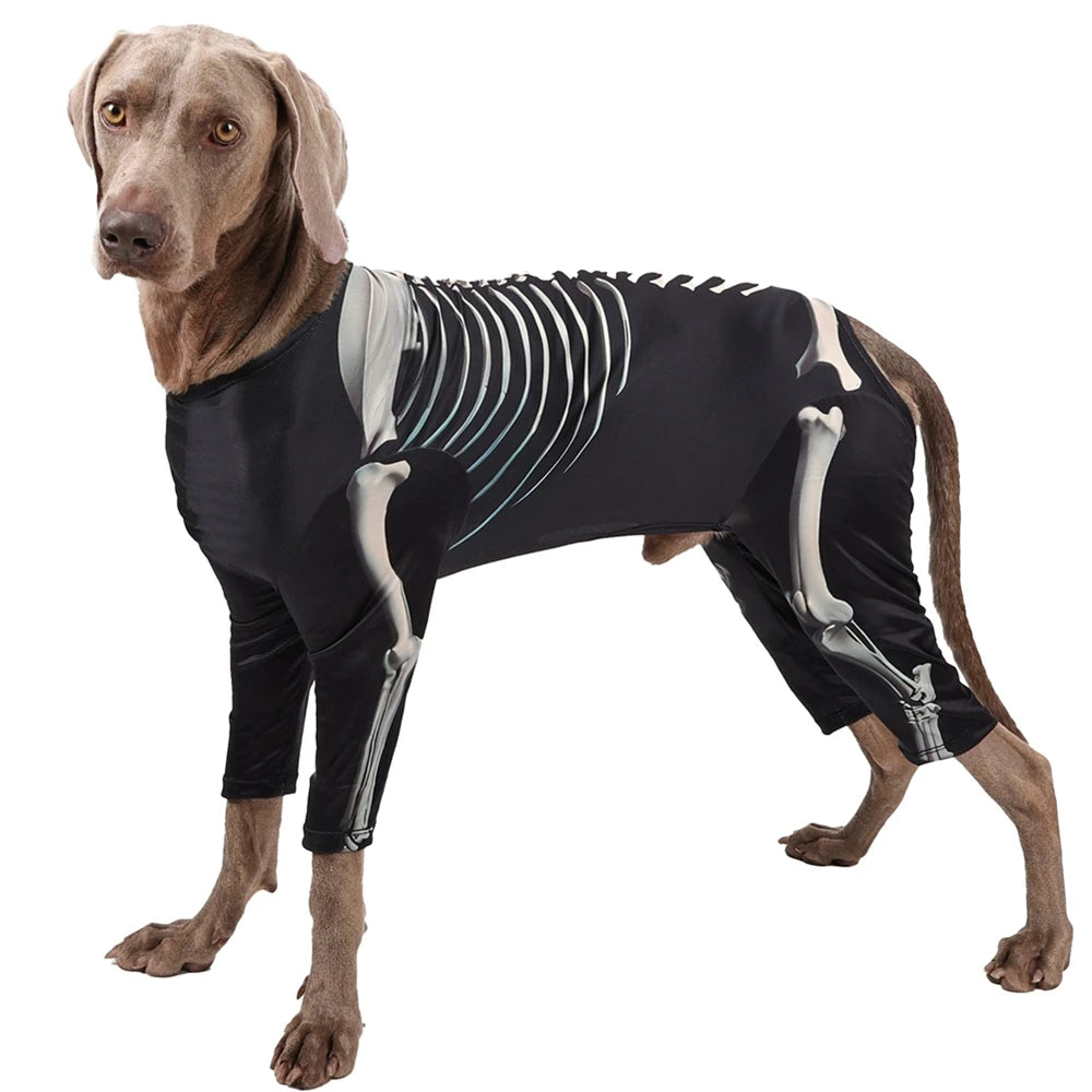 Halloween Skeleton Big Dog Costume