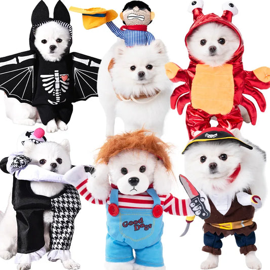 Cute and funny pet Halloween Outfits