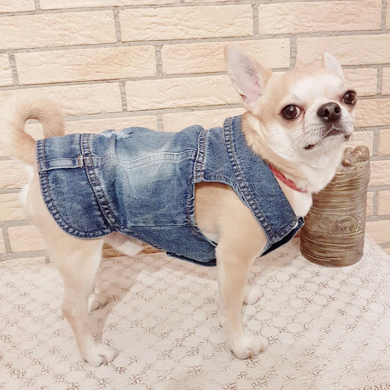 Cute denim dog jacket