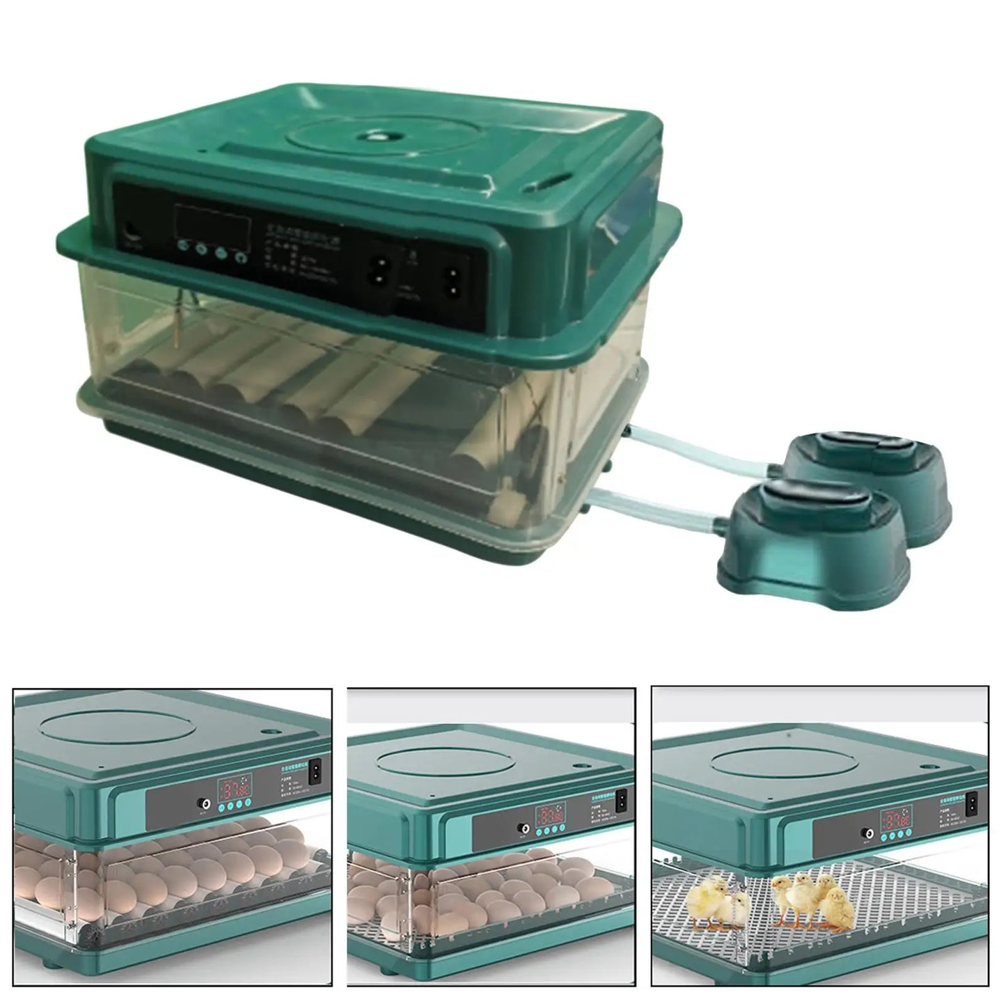 Automatic Egg Incubator Temperature Control