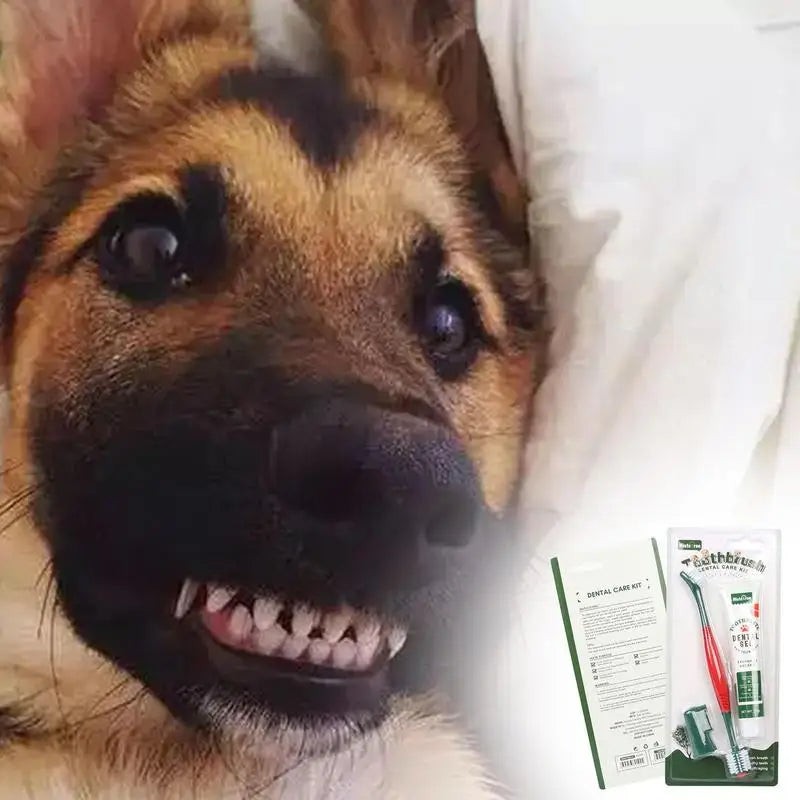 Dog Tooth Brushing Kit Removes Tough Teeth Stains