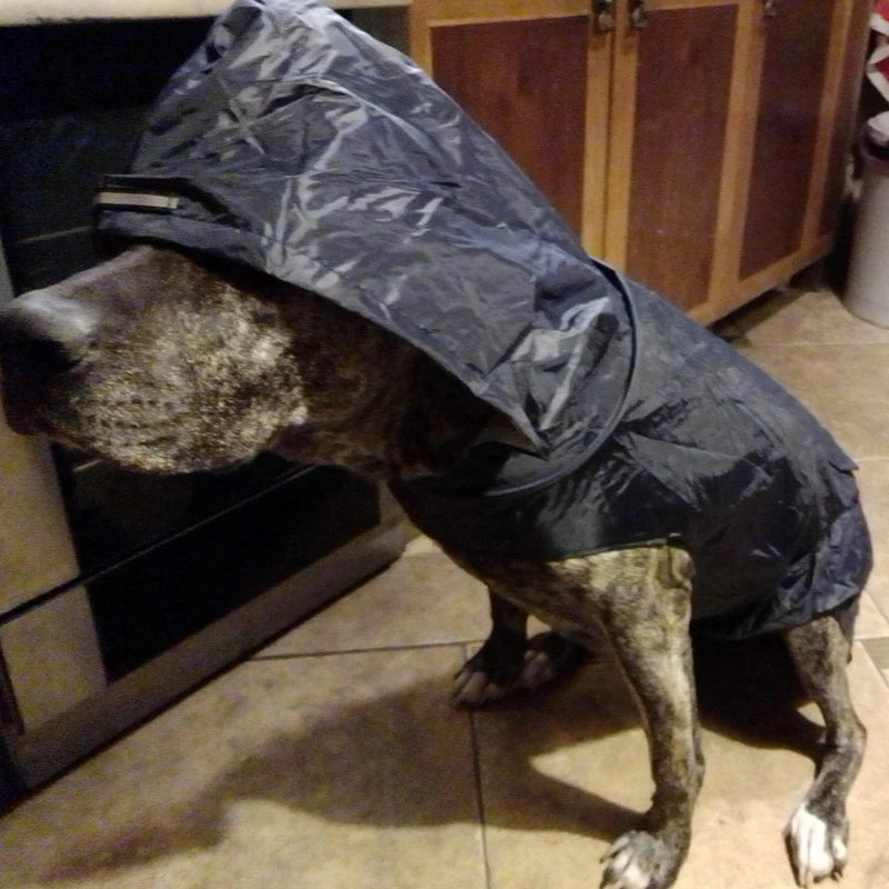 Dog Waterproof Rain Poncho