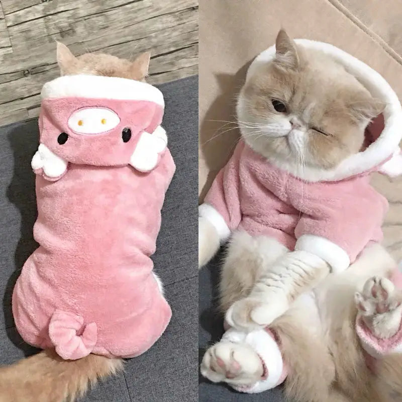 Cute and funny Small animal costume