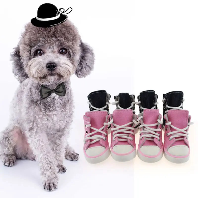 Dog Canvas sneakers