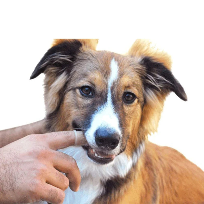 Dog Super Soft Pet Finger Toothbrush