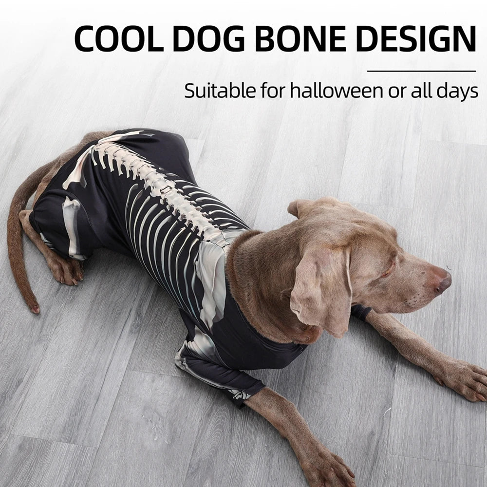 Halloween Skeleton Big Dog Costume