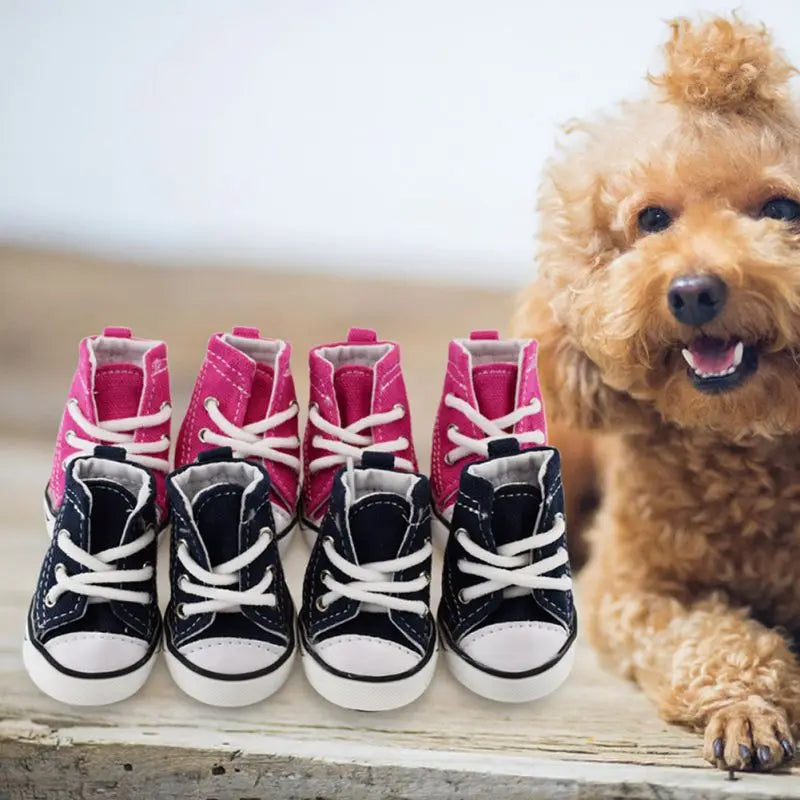 Dog Canvas sneakers