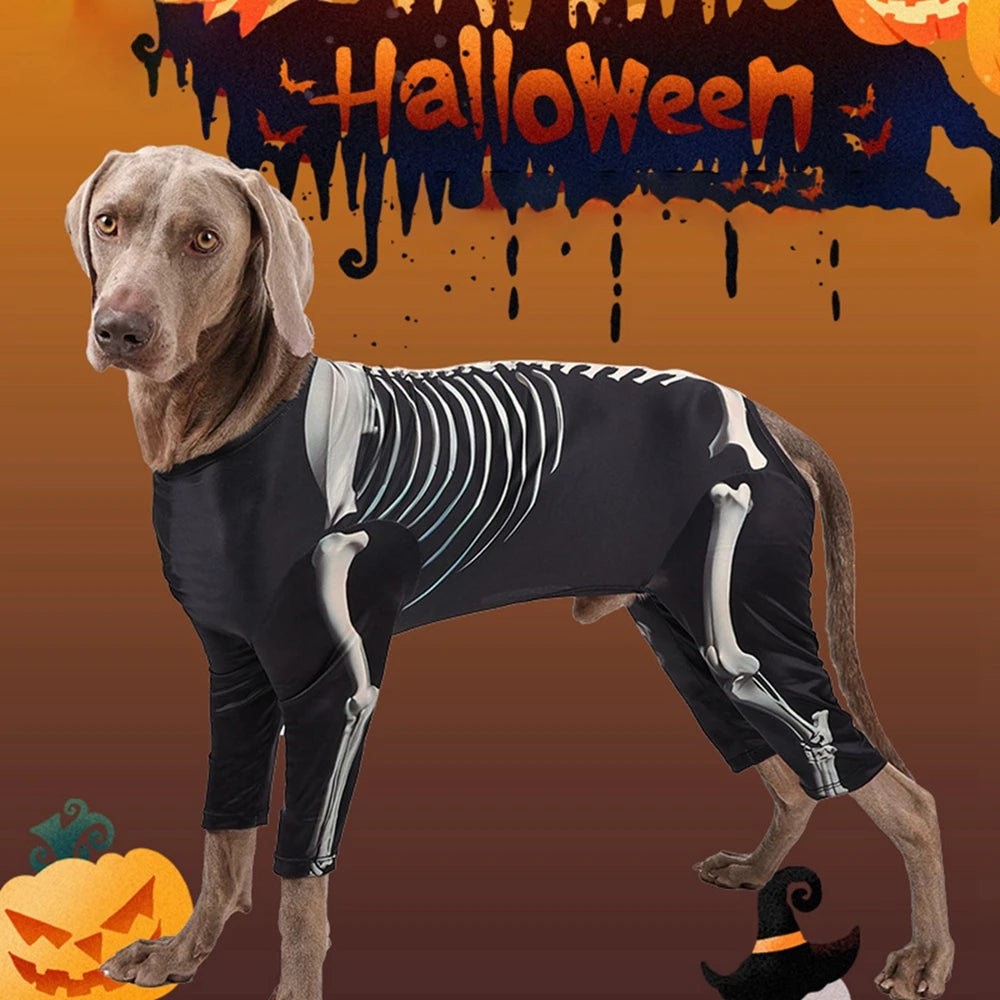 Halloween Skeleton Big Dog Costume