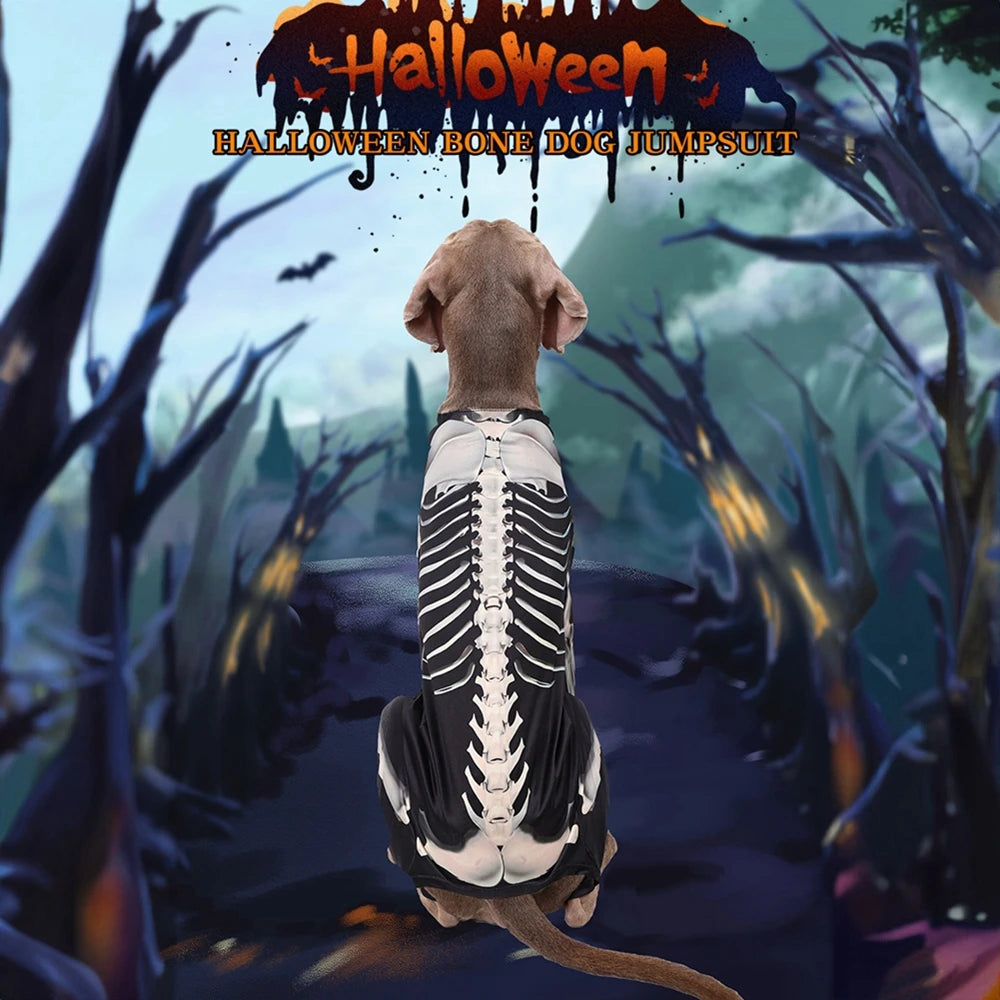 Halloween Skeleton Big Dog Costume