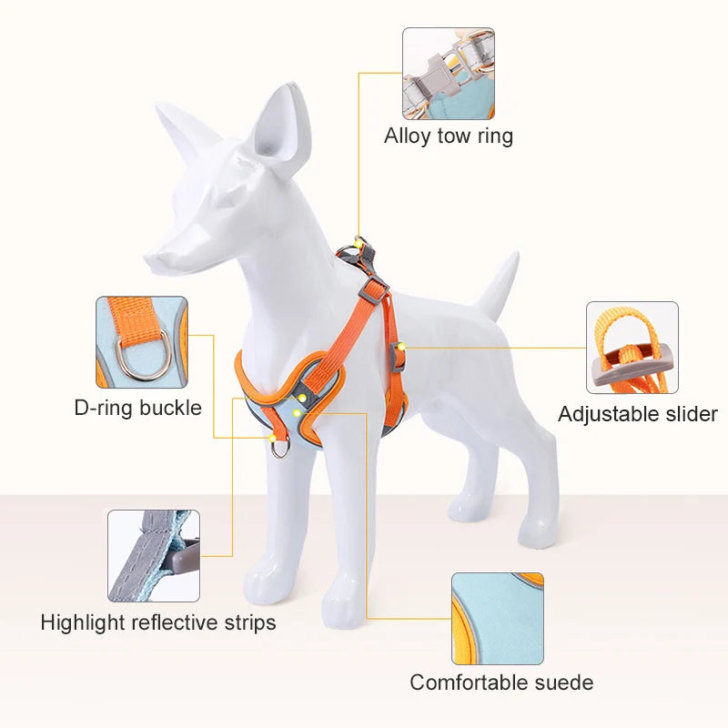 Adjustable Breathable Pet Harness And Leash Set