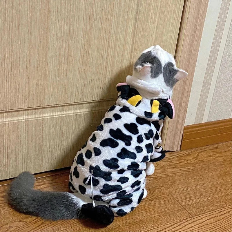 Cute and funny Small animal costume