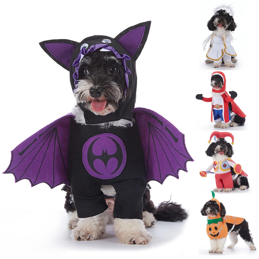 Halloween Costumes for Small Dogs