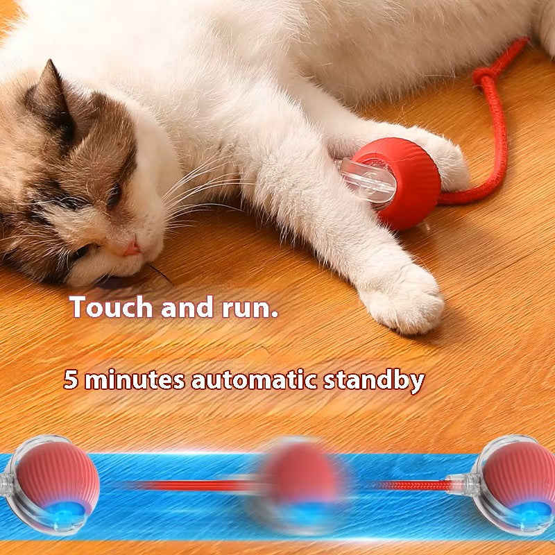 Interactive Smart Ball With Tail Accessories Rolls on Carpet Fast Indestructible Cat Toy