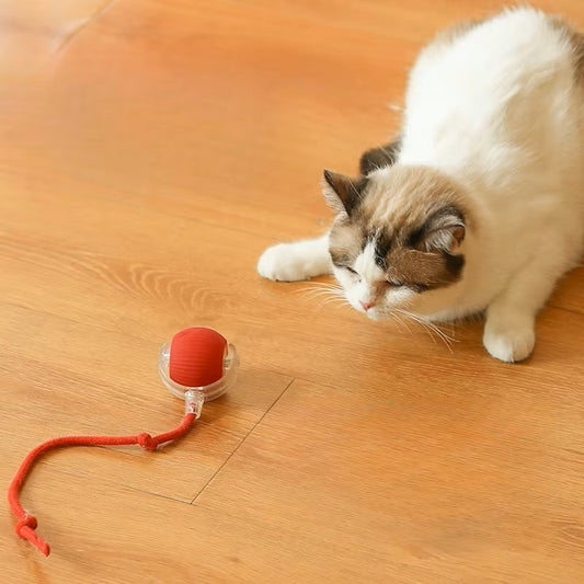 Interactive Smart Ball With Tail Accessories Rolls on Carpet Fast Indestructible Cat Toy