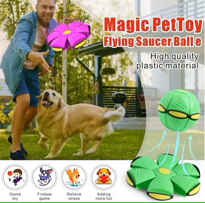 Dog Flying Saucer Ball