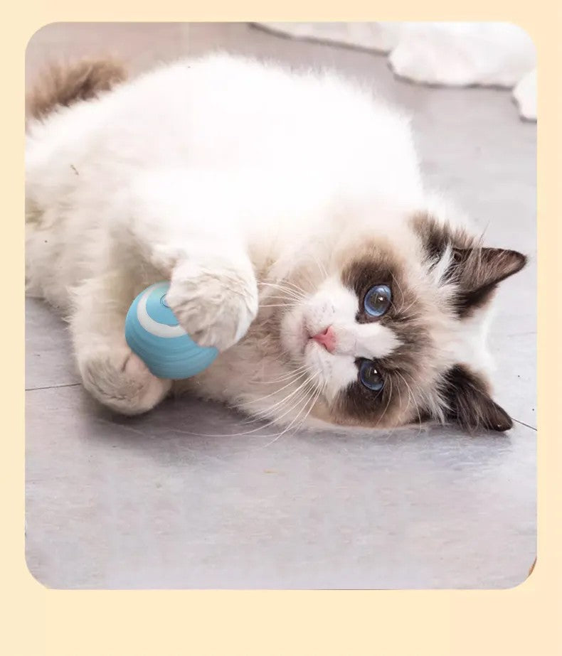 USB Rechargeable Automatic Rolling Smart Cat Ball