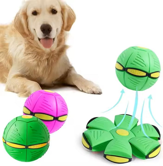 Dog Flying Saucer Ball