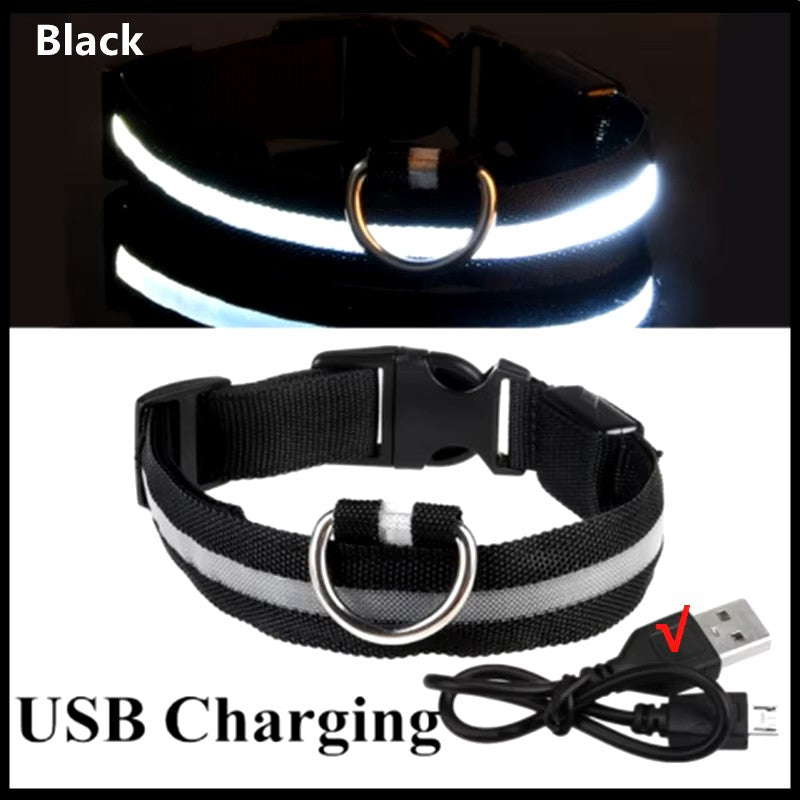 Rechargeable L.E.D Light Up Safety Dog Collar