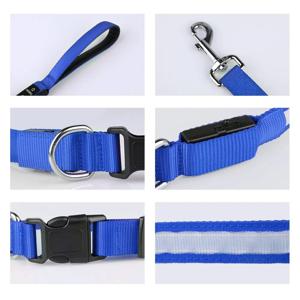 Glowing USB Rechargeable L.E.D. Dog Visibility Safety Leash