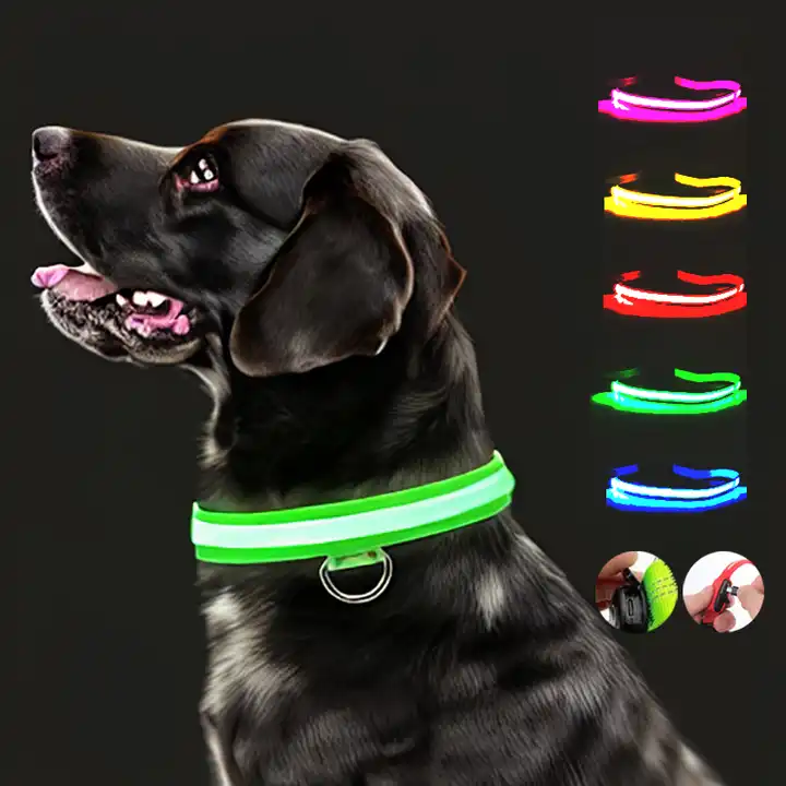 L.E.D light up collar