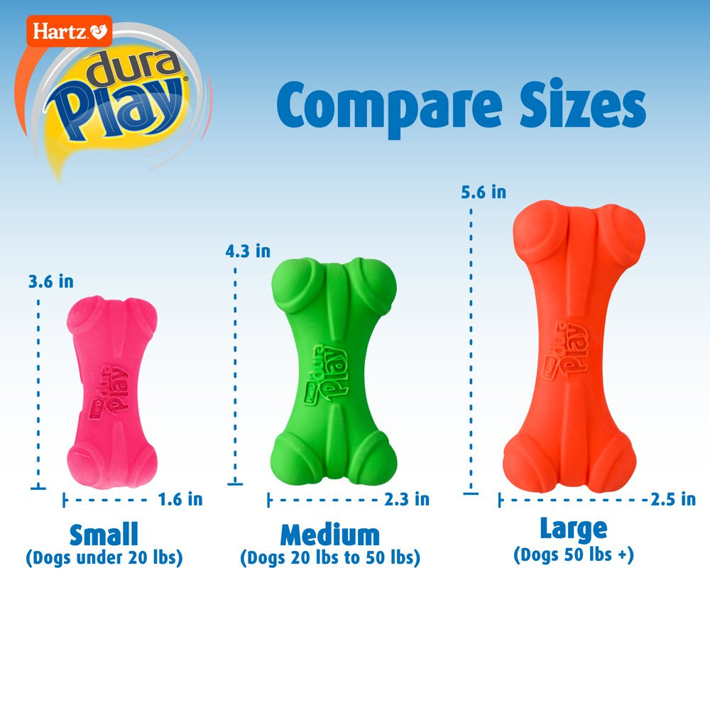 Dura Play Bone Dog Toy, Medium, Color Will Vary