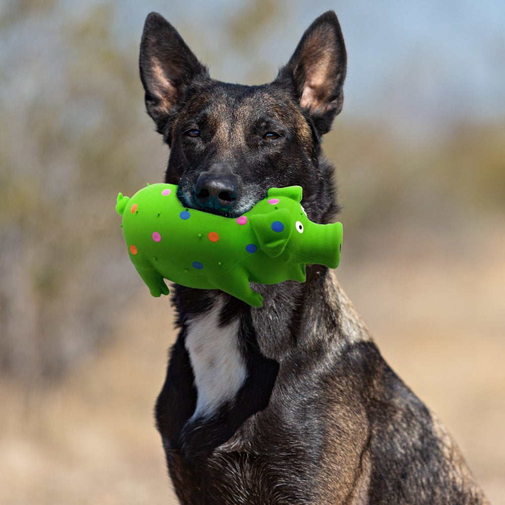 Playful Buddy Pigglesworth Latex Dog Toy, Grunting Noise, Color May Vary