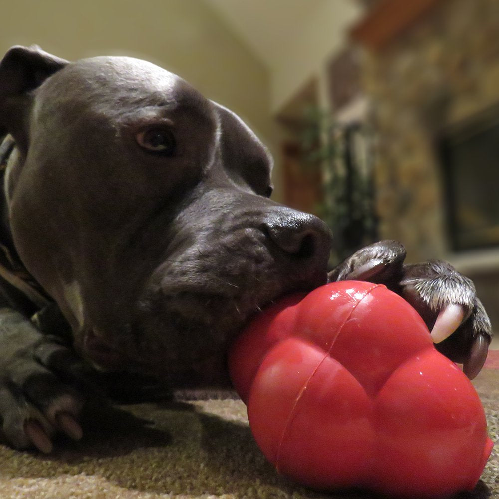 Busy Bounce Durable Rubber Dog Toy, Large, Red