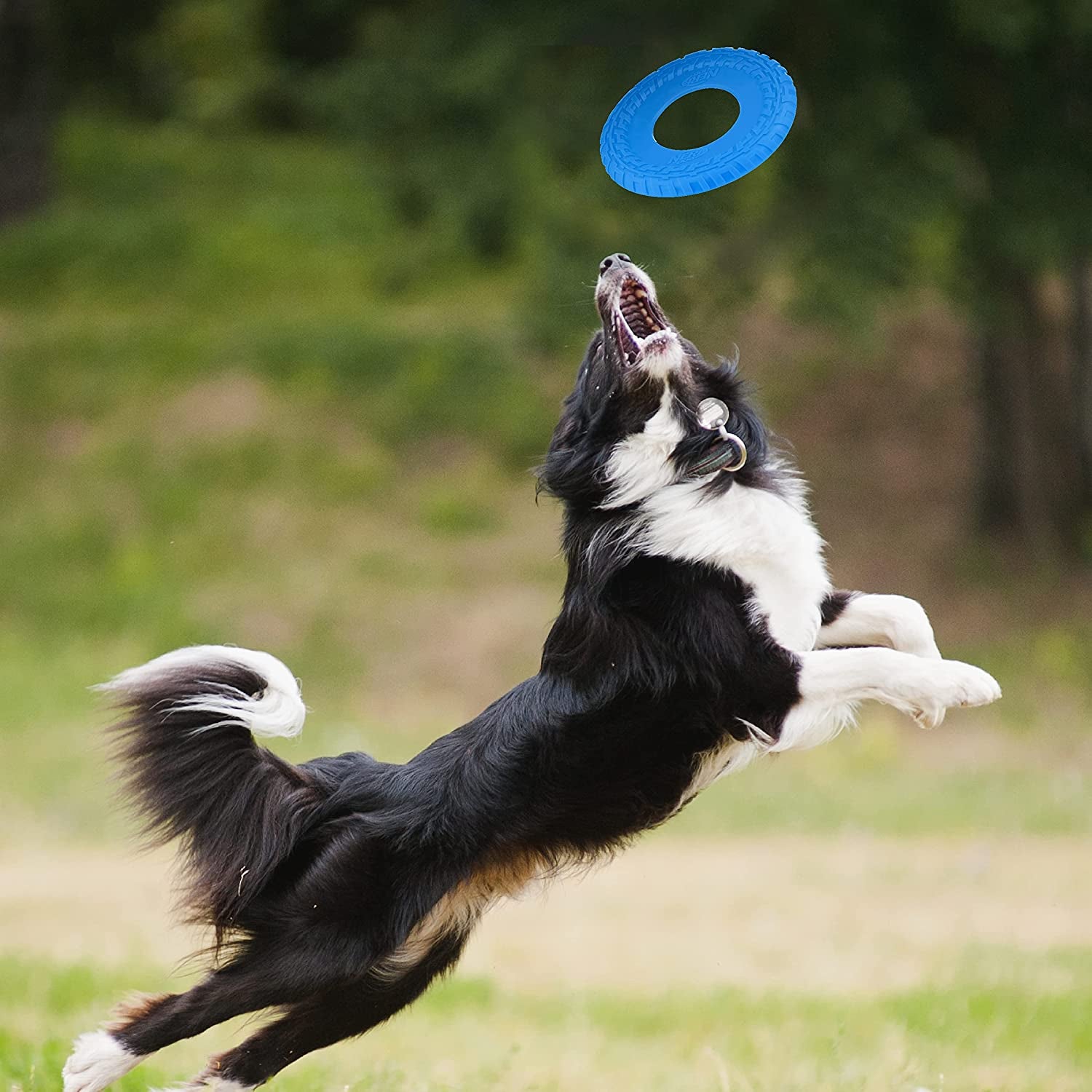 Rubber Tire Flyer Dog Toy, Flying Disc, Lightweight, Durable, Floats in Water, Great for Beach and Pool, 10 Inch Diameter, for Medium/Large Breeds, Single Unit, Blue, Original